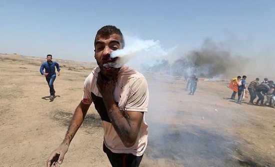 وصول هيثم أبو سبله من غزة إلى مدينة الحسين وصول هيثم أبو سبله من غزة إلى مدينة الحسين