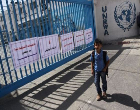 أونروا تنفض يدها عن لاجئي فلسطين بعد 65 سنة خدمة أونروا تنفض يدها عن لاجئي فلسطين بعد 65 سنة خدمة
