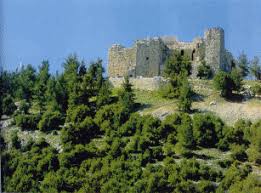 انطلاق مبادرة بذرة خير في عجلون