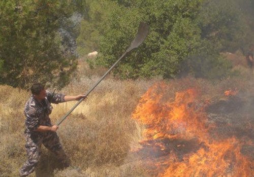 احتراق 45 دونماً في الأغوار الشمالية ممتدة من الجانب الآخر