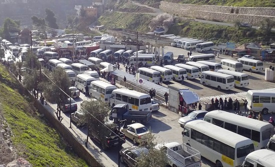 بلدية السلط توفر 4 حافلات للتنقل المجاني في المدينة