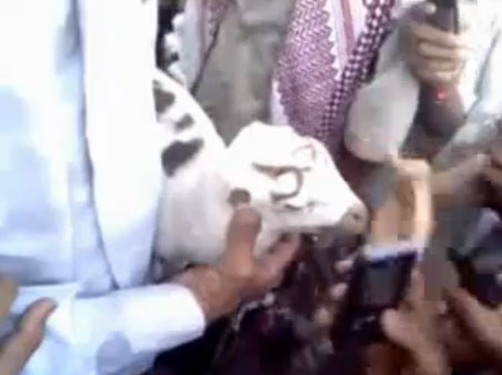 ولادة خروف يمني على رأسه كلمة (أرحل)