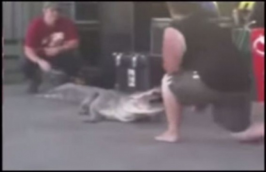 شاهد.. تمساح يهاجم مدربه أثناء عرض مفتوح أمام الجمهور