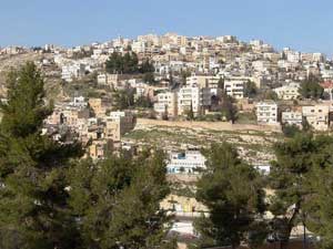 وثيقة السلط الاصلاحية "للاصلاحات السياسية والاقتصادية والاجتماعية "