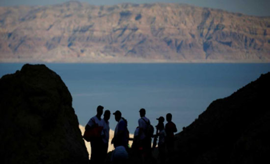 ذئاب تثير الرعب في صحراء البحر الميت