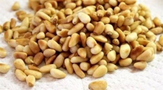 فوائد صحية رائعة للصنوبر تهمّك معرفتها فوائد صحية رائعة للصنوبر تهمّك معرفتها