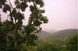 الكورة: تشغيل الموقع الجديد للعناية المركزة 