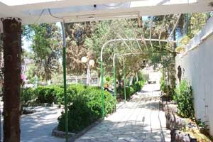  العموش يأمر بمجانية الدخول لمنتزه بلدية الزرقاء بعد اعادة تأهيله 