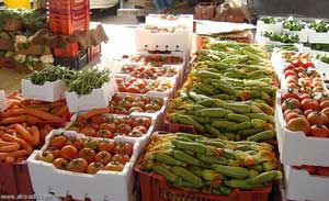 حماية المستهلك تدعو الى تفعيل السقوف السعرية 