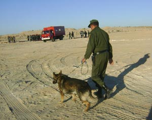 انتشار للقوات الجزائرية على حدود ليبيا    