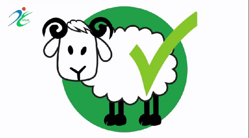 فيديو كرتوني : كيف تختار اضحيتك