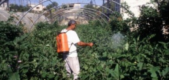 تعديل تعليمات تسجيل المبيدات والحجر النباتي تعديل تعليمات تسجيل المبيدات والحجر النباتي
