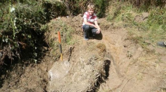 صبي يكتشف أكبر عش للدبابير الأوروبية