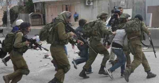 الاحتلال يعتقل 14 فلسطينيا الاحتلال يعتقل 14 فلسطينيا