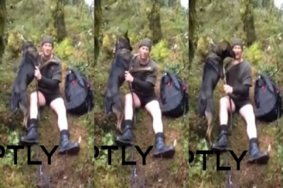 شاهد..  مدرب يعثر على كلبه بعد أسبوع من اختفائه