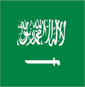  السعودية تامل ان يشكل مقتل بن لادن خطوة نحو دعم محاربة الارهاب 