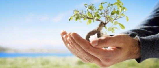 ندوة متخصصة تبحث المسؤولية الاجتماعية للشركات بتنمية المجتمع ندوة متخصصة تبحث المسؤولية الاجتماعية للشركات بتنمية المجتمع