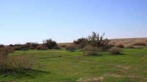 طقس دافئ ومغبر أحيانا حتى الجمعة طقس دافئ ومغبر أحيانا حتى الجمعة