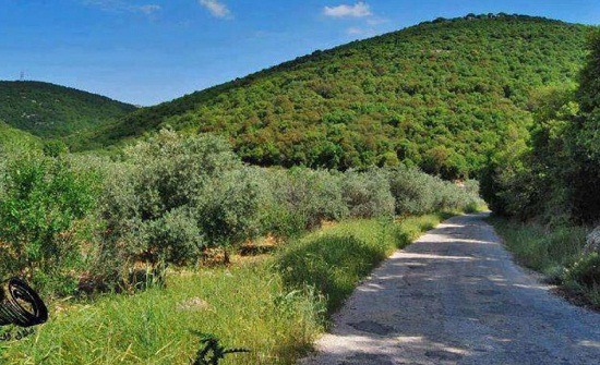 عجلون:معرض المنتوجات الزراعية يواصل فعالياته