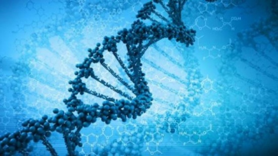 التدخين يترك أثراً دائماً على حمضك النووي التدخين يترك أثراً دائماً على حمضك النووي