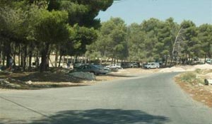 يوم تطوعي لفرسان الترويج لمبادرات التشغيل في متنزه عمان القومي 