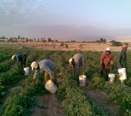 اجتماع لبحث المشكلات البيئية في الاغوار الجنوبية