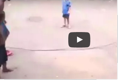 شاهد..  كلب يشارك الأطفال «نط الحبل»