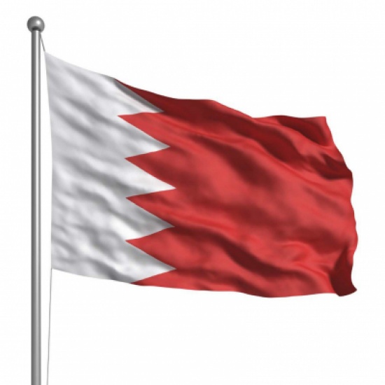 رئيس مجلس الشورى البحريني يستنكر جريمة قتل الطيار الشهيد الكساسبة رئيس مجلس الشورى البحريني يستنكر جريمة قتل الطيار الشهيد الكساسبة