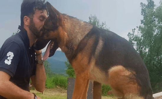 غضب بإيطاليا بعد مقتل "الكلب البطل"