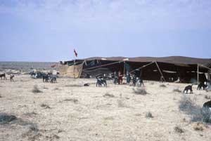 تكريم رئيس واعضاء مجلس أمناء الصندوق الهاشمي لتنمية البادية السابقين 