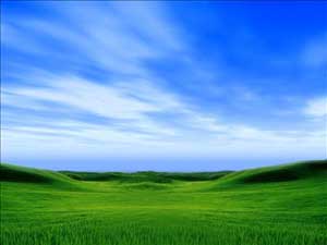 طقس دافئ ومغبر غدا وأمطار متفرقة الجمعة والسبت