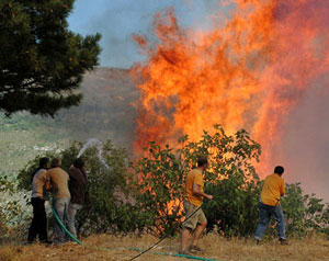 الفاو: حرائق الغابات تسهم في ارتفاع درجة الاحترار العالمي