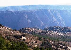 اهالي عيمة وارحاب واضباعة يطالبون بشمول مناطقهم مكتسبات التنمية 