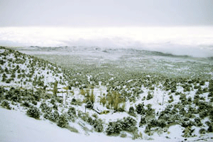 مياه الجليد تنقذ حياة كندية قضت 49 يومًا في الصحراء