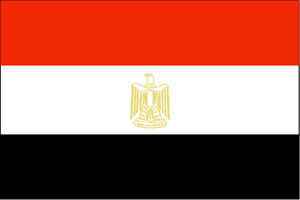 الداخلية المصرية تدعو لعدم تنظيم مسيرات باتجاه قطاع غزة 