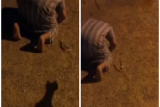 شاهد.. رد فعل شاب رمي عليه صديقه ثعبان أثناء الصلاة