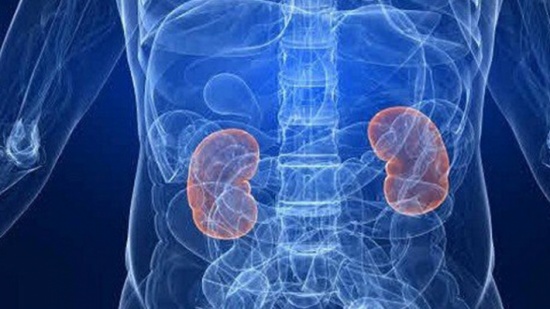 أمراض الكلى والدماغ مرتبطة ببعضها