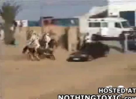 حادث حصان مع سيارة 