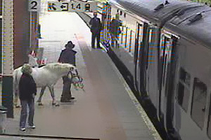 بريطاني يحاول ركوب القطار بالحصان