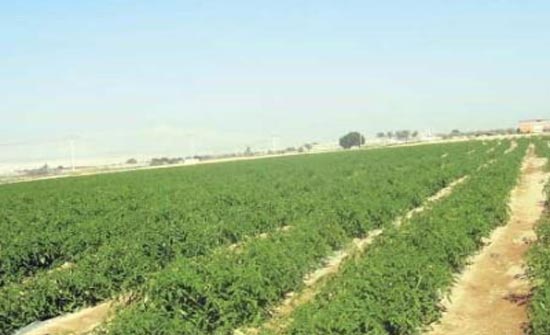 افتتاح معرض للكتاب في الاغوار الجنوبية