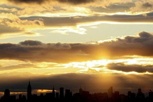 شركة أمريكية لرعاية الحيوانات الأليفة يوم القيامة