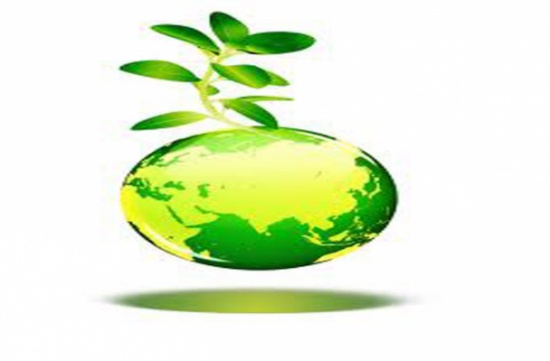 تربية القويسمة تطلق حملة"بيئتنا أحلى " للعمل التطوعي