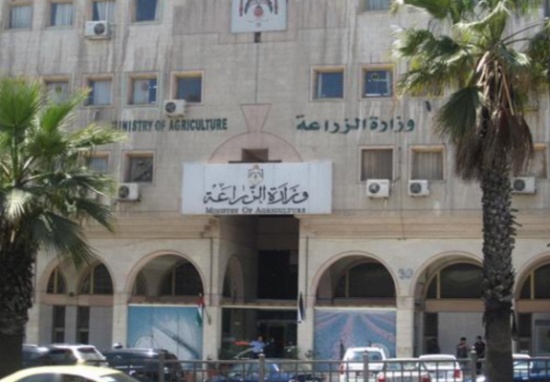 الاردن خال من انفلونزا الطيور