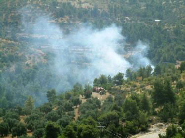 حريق اشجار حرجية في جرش 