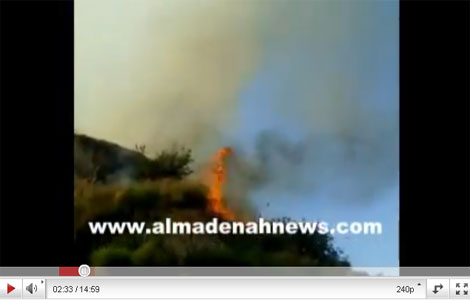 حريق يلتهم 100 دونم من الاشجار الحرجية في جرش ( فيديو )