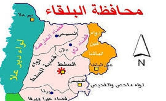 حوارية تناقش أولويات واحتياجات أبناء دائرة دير علا الانتخابية