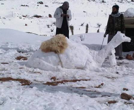 بالصور : شاهدوا ابداعات الشعب الأردني في الثلج