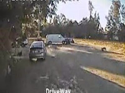 بالفيديو.. كلب ينقذ صديقه من أنياب ذئب مفترس