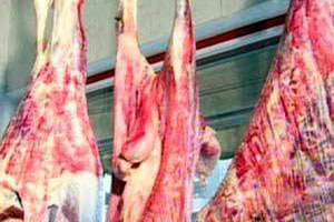 جزائرية تتجاوز ضعف النساء.. وتمتهن "الجزارة"