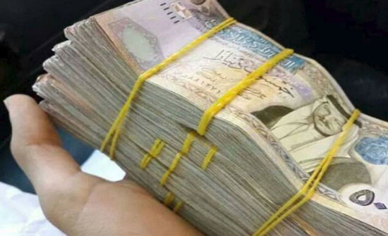قصة شبهة الفساد في ارض " الطنيب " وخسارة الضمان عشرات الملايين قصة شبهة الفساد في ارض " الطنيب " وخسارة الضمان عشرات الملايين